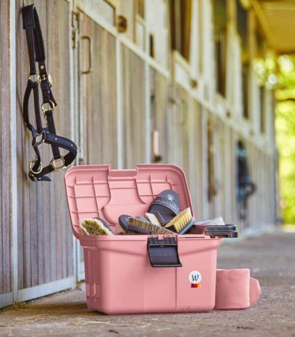 Waldhausen Putzbox ECO Rosa