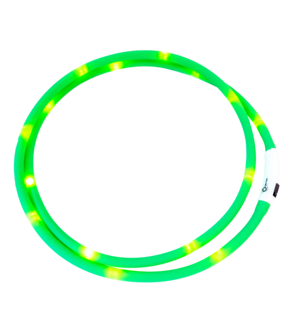 Waldhausen LED-Halsriemen