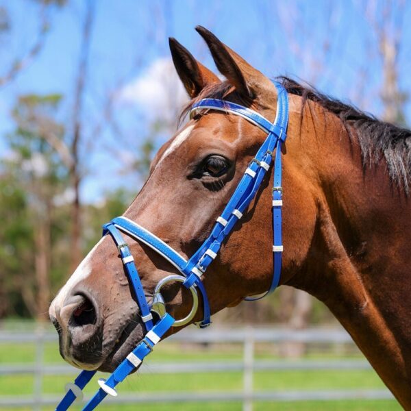 Zilco Kunststoff Ponyzaum ROYALBLAU-WEISS