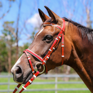 Zilco Kunststoff Ponyzaum ROT-WEISS