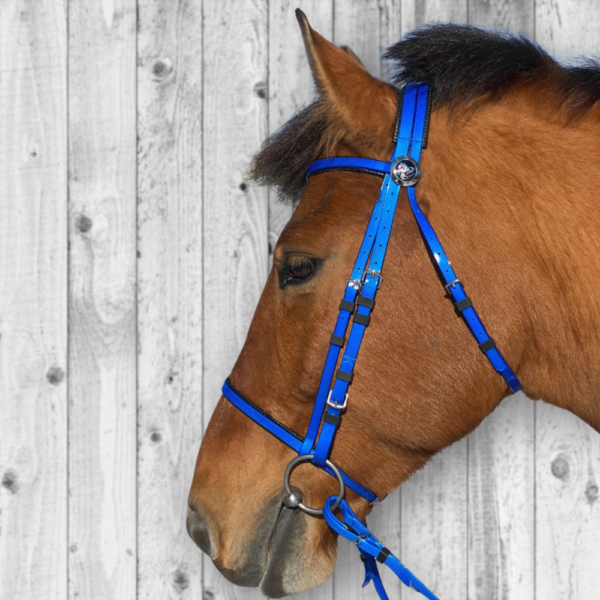 uper Steeds Kunststoff Zaumzeug BLAU glänzend