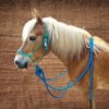 Sunset Halters Knotenhalfter mit Mecate Teal