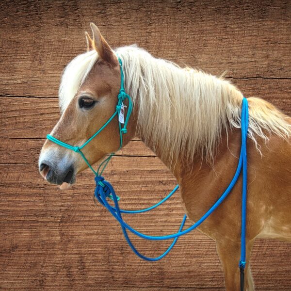 Sunset Halters Knotenhalfter mit Mecate Teal