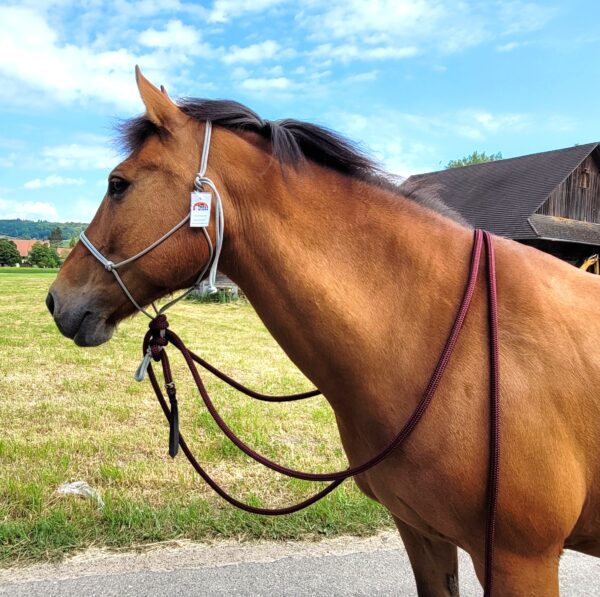 Sunset Halters Knotenhalfter mit Mecate Puderblau