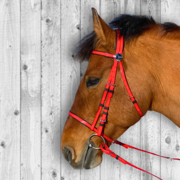 Super Steeds Kunststoff Zaumzeug ROT glänzend