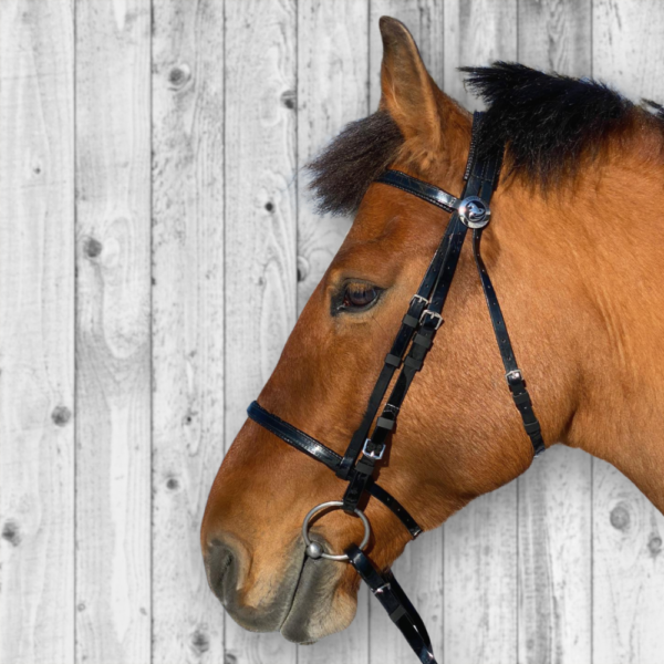 Super Steeds Kunststoff Zaumzeug SCHWARZ glänzend