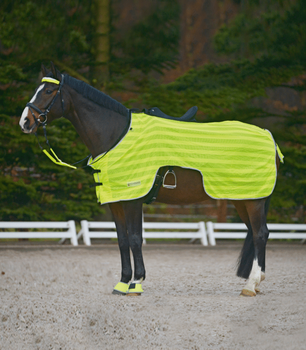 Waldhausen REFLEX Ausreitdecke mit Leuchtstreifen