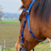 Super Steeds Kunststoff Zaumzeug Blau glänzend mit Martingal