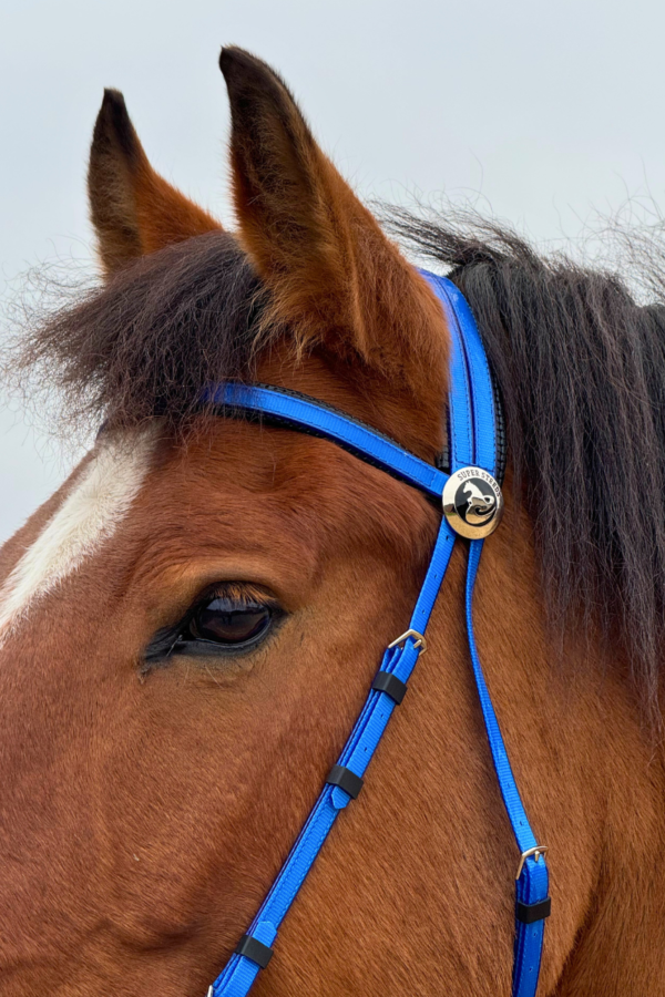 Super Steeds Kunststoff Zaumzeug Blau glänzend mit Martingal