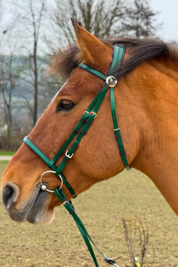 Super Steeds Kunststoff Zaumzeug Dunkelgrün glänzend