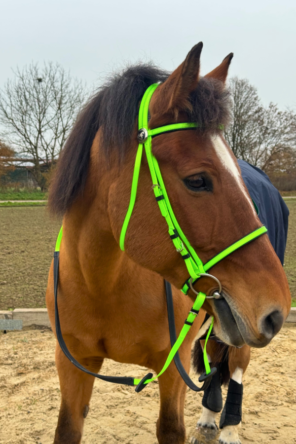 Super Steeds Kunststoff Zaumzeug Neongrün glänzend