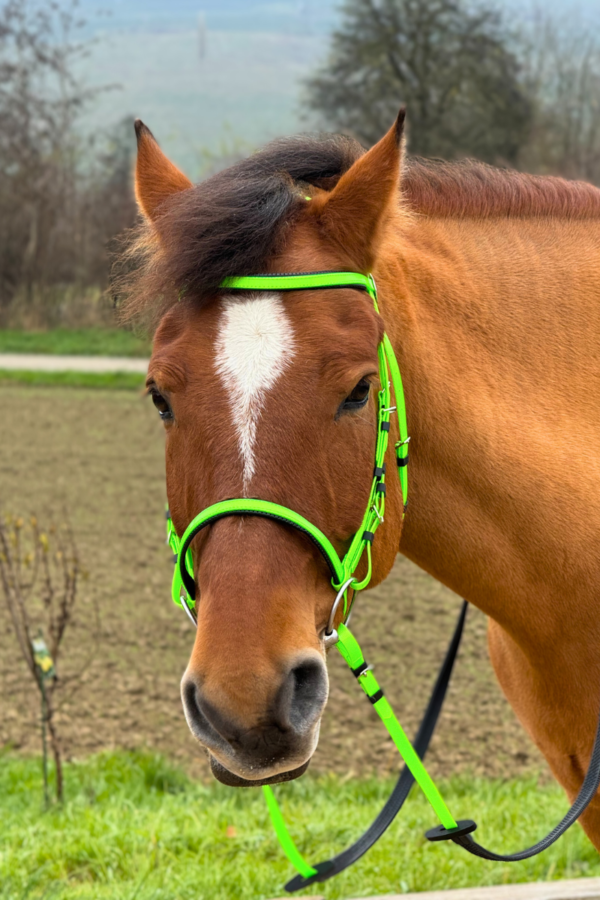 Super Steeds Kunststoff Zaumzeug Neongrün glänzend