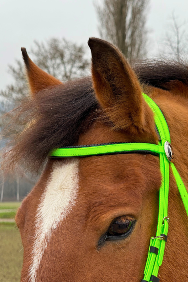 Super Steeds Kunststoff Zaumzeug Neongrün glänzend