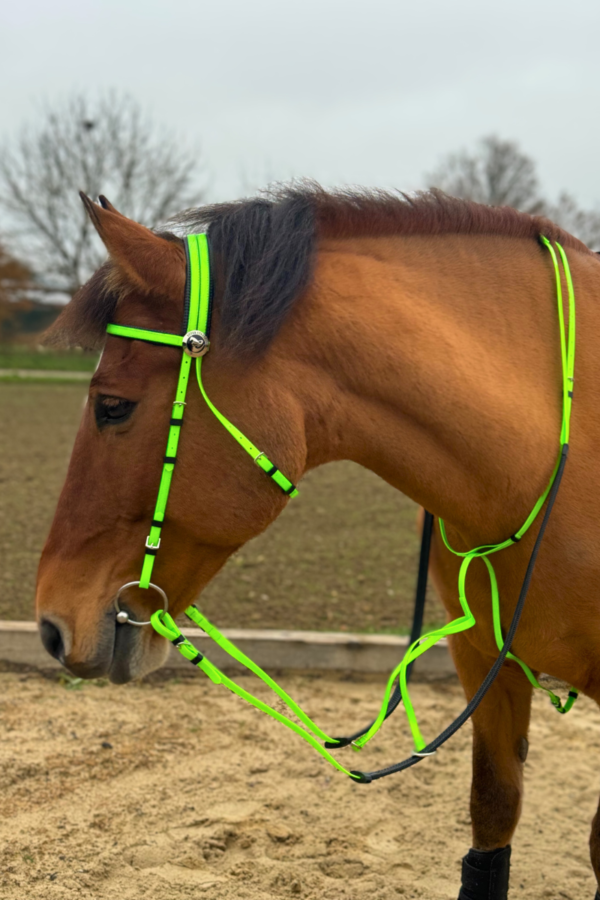 Super Steeds Kunststoff Zaumzeug Neongrün glänzend mit Martingal