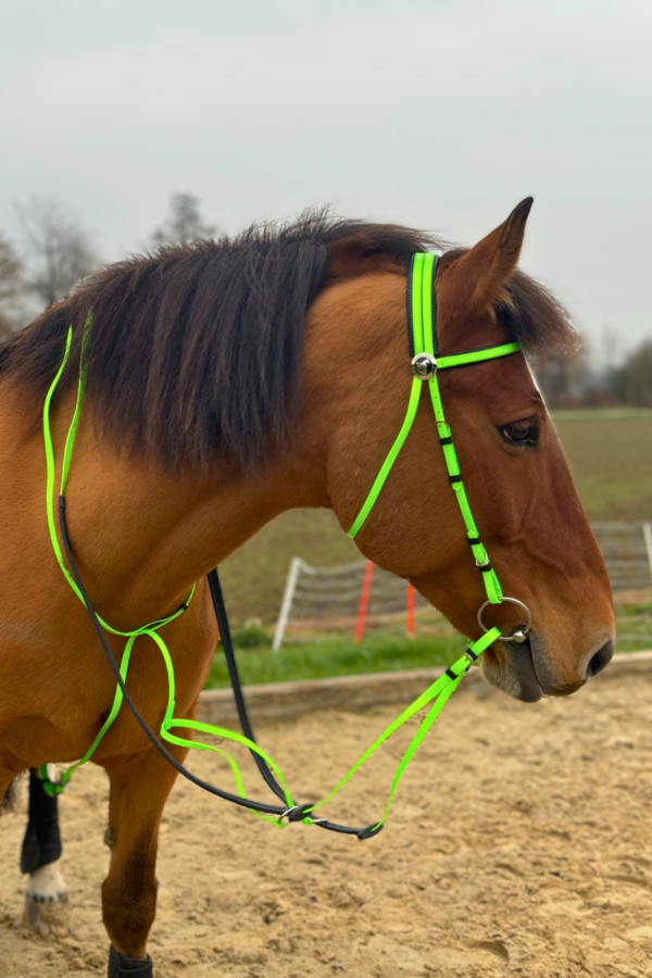 Super Steeds Kunststoff Zaumzeug Neongrün glänzend mit Martingal