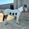 Snuggy Hoods Sweet Itch Sommerekzem-Decke