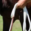 Zilco Bodenarbeitsseil mit Bull Snap
