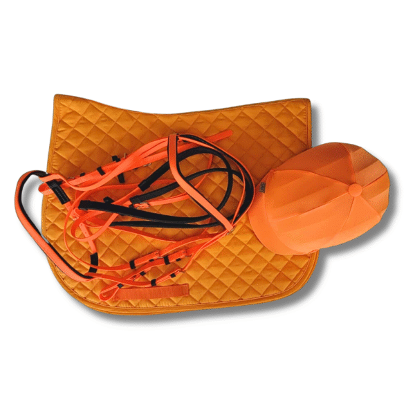 Oranges Reitset mit Schabracke, Zaumzeug & Reithelmüberzug