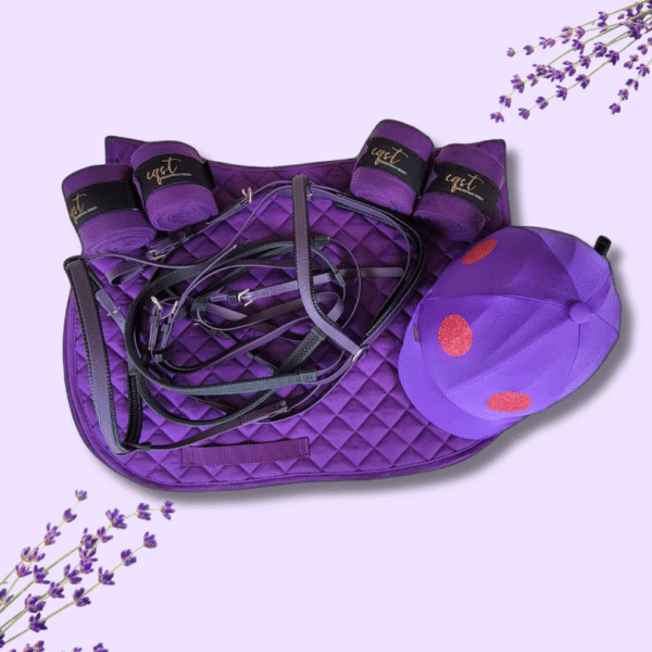 Violettes Reitset mit Schabracke, Zaumzeug & Reithelmüberzug