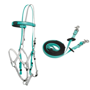 Zilco Deluxe Endurance Set - Türkis/Weiss (Arab/Cob)