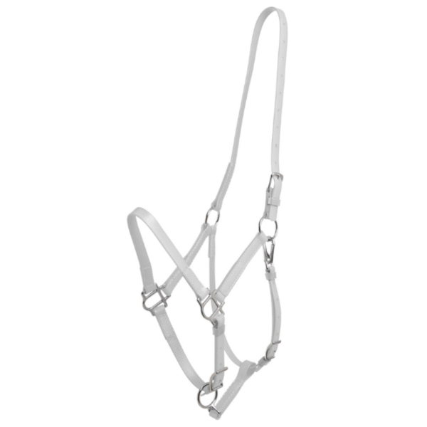 Zilco Deluxe Endurance Set - Türkis/Weiss (Arab/Cob)