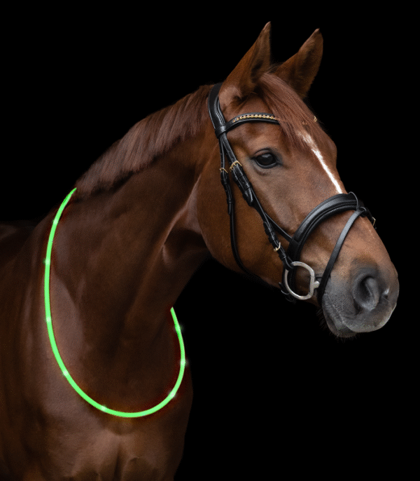 Waldhausen LED-Leuchthalsring Grün