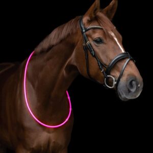Waldhausen LED-Leuchthalsring Pink