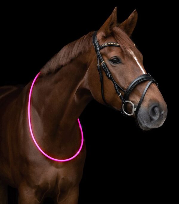 Waldhausen LED-Leuchthalsring Pink