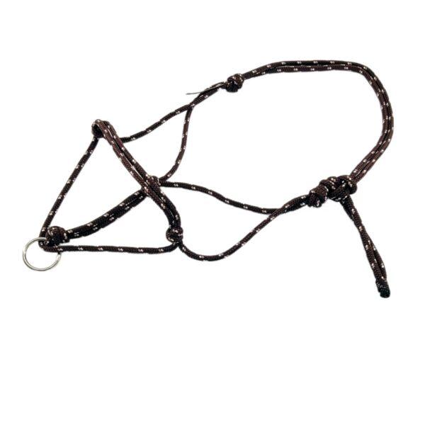Free Spirit Longierknotenhalfter Shetty in Braun-Weiss-Beige