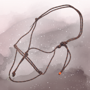 Free Spirit Longierknotenhalfter WARMBLUT in Braun