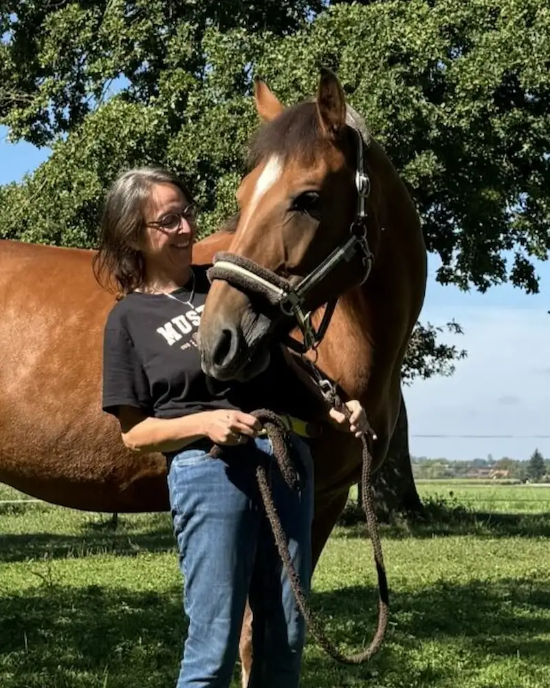 Banner Swisshorseshop Mobile