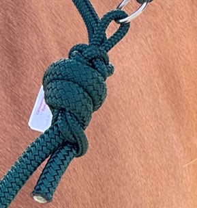 Bodenarbeitsseil am Knotenhalfter befestigen Ohne Karabiner, ohne Schlaufe - > direkt am Knotenhalfter (Methode «Tied on»)