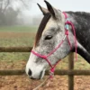 GKH Halter-Quik – Das Schnellverschluss-System für Knotenhalfter