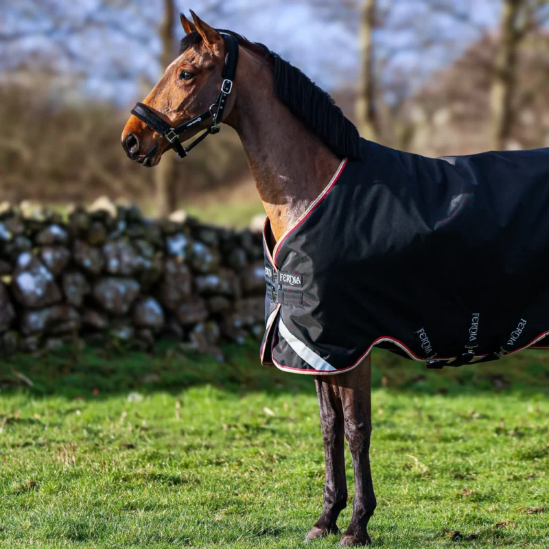 Ferdia Equine High King 840D N66 0G Outdoordecke + Kapuze – Premium-Pferdedecke aus ballistischem Nylon